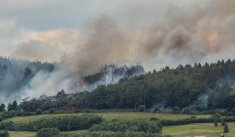 Blog post 2021 q4 CLS Ireland wildfires