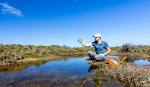 Environmental Consultancy off to a flying start