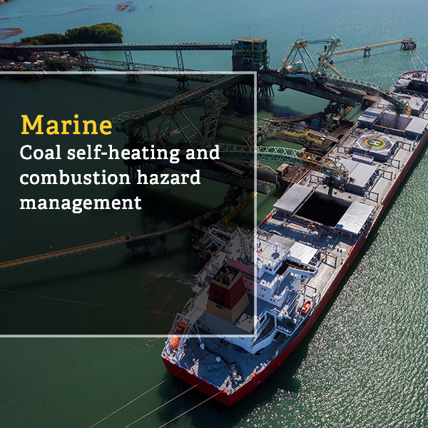 Hong kong resource marine coal case study