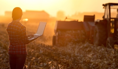 Uk Agriculture Preview 480X270