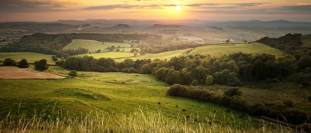 Beautiful country landscape