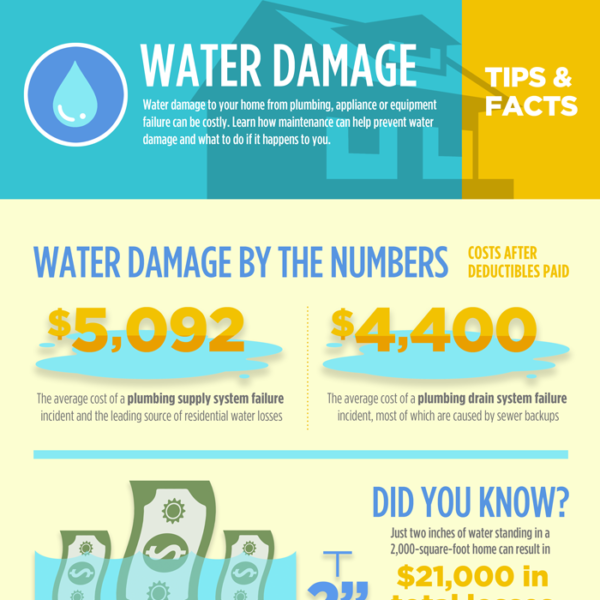 Global Water Damage Infographic Feature